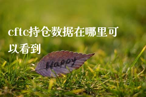 cftc持仓数据在哪里可以看到_https://www.fansifence.com_恒指交易时间_第1张