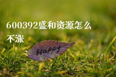 600392盛和资源怎么不涨_https://www.fansifence.com_国际期货_第1张