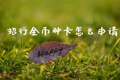 招行全币种卡怎么申请_https://www.fansifence.com_国际期货_第1张