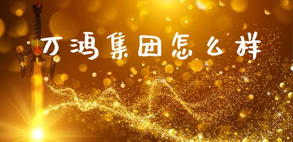 万鸿集团怎么样_https://www.fansifence.com_国际期货行情_第1张
