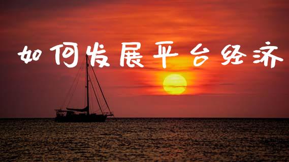 如何发展平台经济_https://www.fansifence.com_国际期货行情_第1张