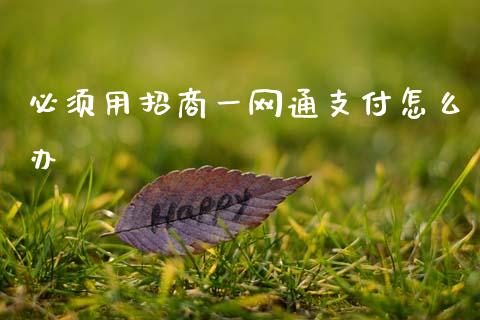必须用招商一网通支付怎么办_https://www.fansifence.com_恒指交易时间_第1张