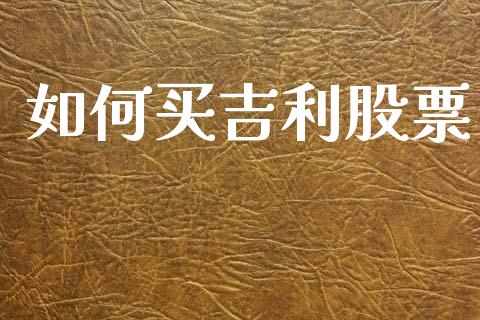 如何买吉利股票_https://www.fansifence.com_恒指交易时间_第1张