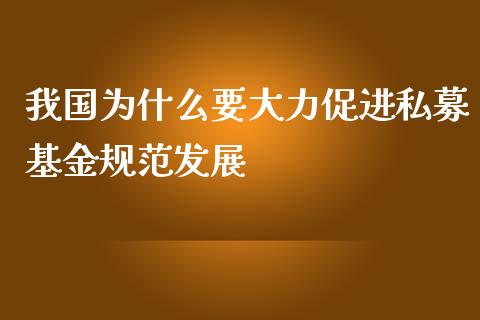 我国为什么要大力促进私募基金规范发展_https://www.fansifence.com_恒指交易时间_第1张