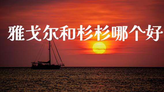 雅戈尔和杉杉哪个好_https://www.fansifence.com_恒指交易时间_第1张