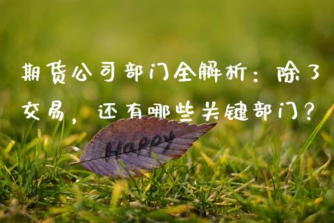 期货公司部门全解析:除了交易,还有哪些关键部门?_恒指交易时间_第1张_国际期货_中国国际期货_恒指交易时间_国际期货行情 期货公司部门全解析:除了交易,还有哪些关键部门?_https://www.fansifence.com_恒指交易时间_第1张