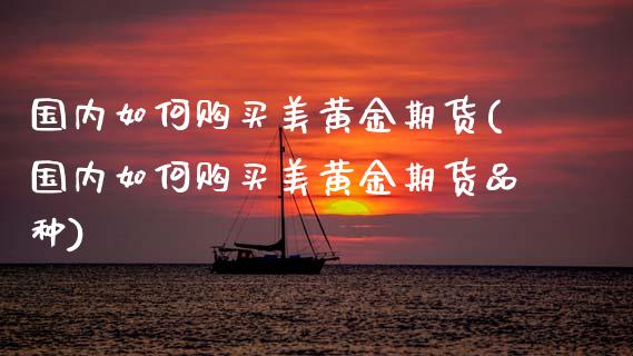 国内如何购买美黄金期货(国内如何购买美黄金期货品种)_https://www.fansifence.com_国际期货_第1张