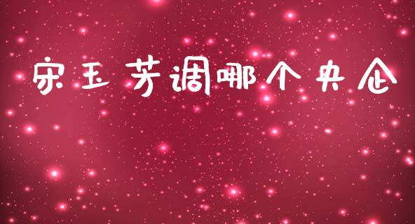 宋玉芳调哪个央企_https://www.fansifence.com_国际期货_第1张