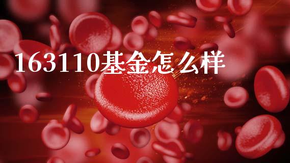 163110基金怎么样_https://www.fansifence.com_国际期货_第1张