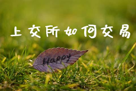 上交所如何交易_https://www.fansifence.com_国际期货_第1张