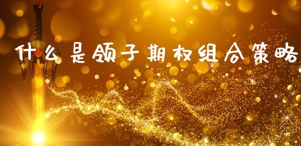 什么是领子期权组合策略_中国国际期货_第1张_国际期货_中国国际期货_恒指交易时间_国际期货行情 什么是领子期权组合策略_https://www.fansifence.com_中国国际期货_第1张