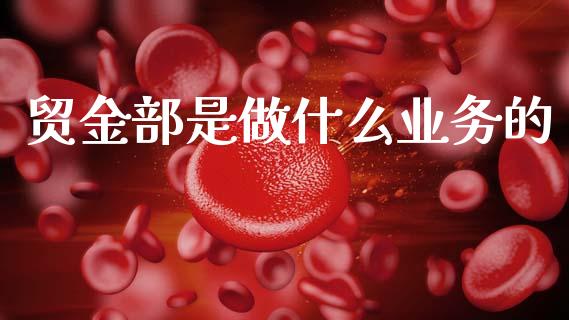 贸金部是做什么业务的_https://www.fansifence.com_国际期货_第1张
