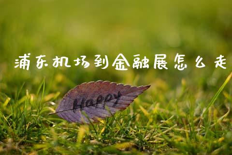 浦东机场到金融展怎么走_https://www.fansifence.com_中国国际期货_第1张
