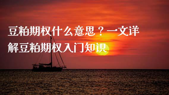 豆粕期权什么意思？一文详解豆粕期权入门知识_https://www.fansifence.com_国际期货行情_第1张