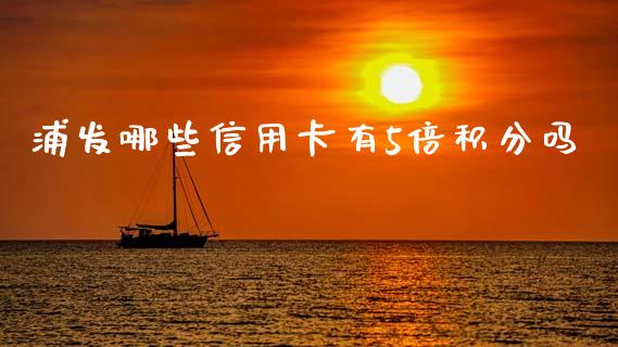 浦发哪些信用卡有5倍积分吗_https://www.fansifence.com_中国国际期货_第1张