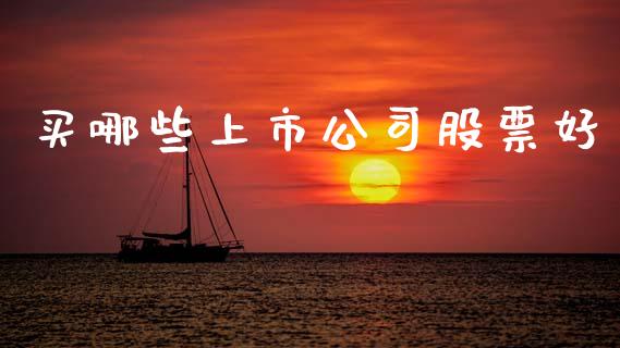 买哪些上市公司股票好_https://www.fansifence.com_国际期货_第1张