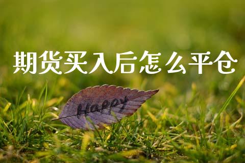 期货买入后怎么平仓_国际期货_第1张_国际期货_中国国际期货_恒指交易时间_国际期货行情 期货买入后怎么平仓_https://www.fansifence.com_国际期货_第1张