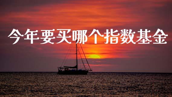 今年要买哪个指数基金_https://www.fansifence.com_国际期货行情_第1张