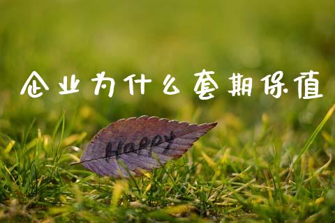 企业为什么套期保值_https://www.fansifence.com_国际期货_第1张