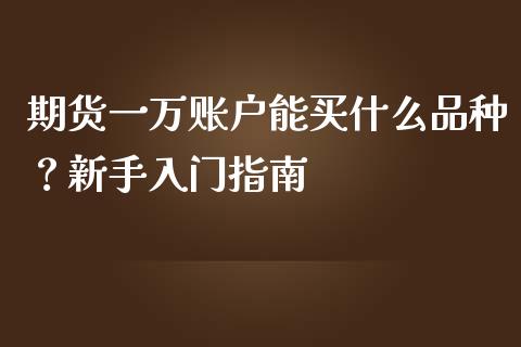 期货一万账户能买什么品种？新手入门指南_https://www.fansifence.com_恒指交易时间_第1张