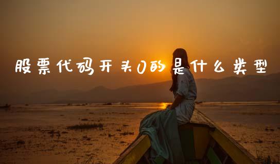 股票代码开头0的是什么类型_https://www.fansifence.com_中国国际期货_第1张
