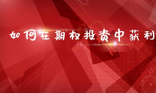 如何在期权投资中获利_https://www.fansifence.com_国际期货_第1张