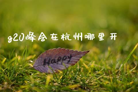 g20峰会在杭州哪里开_https://www.fansifence.com_国际期货行情_第1张