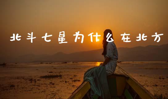 北斗七星为什么在北方_https://www.fansifence.com_中国国际期货_第1张