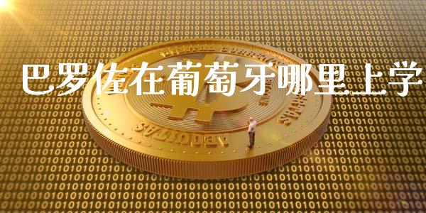 巴罗佐在葡萄牙哪里上学_https://www.fansifence.com_国际期货行情_第1张