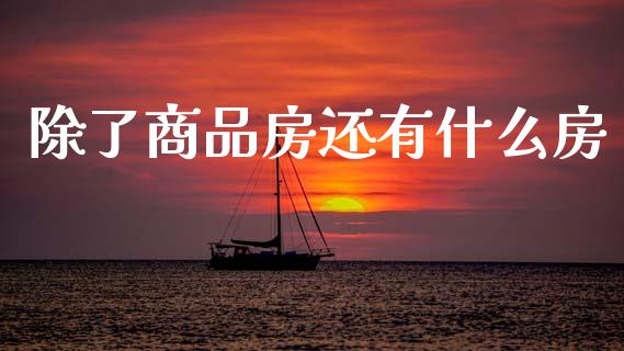 除了商品房还有什么房_https://www.fansifence.com_国际期货行情_第1张