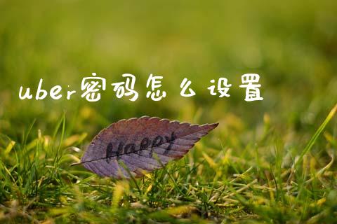 uber密码怎么设置_https://www.fansifence.com_国际期货_第1张