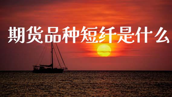 期货品种短纤是什么_https://www.fansifence.com_国际期货_第1张