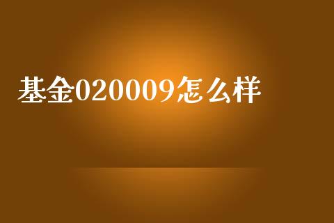 基金020009怎么样_https://www.fansifence.com_恒指交易时间_第1张