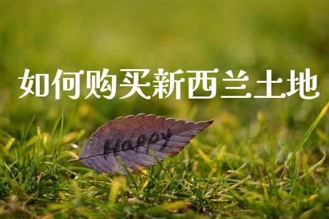 如何购买新西兰土地_https://www.fansifence.com_国际期货行情_第1张