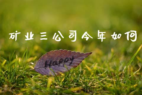 矿业三公司今年如何_https://www.fansifence.com_中国国际期货_第1张