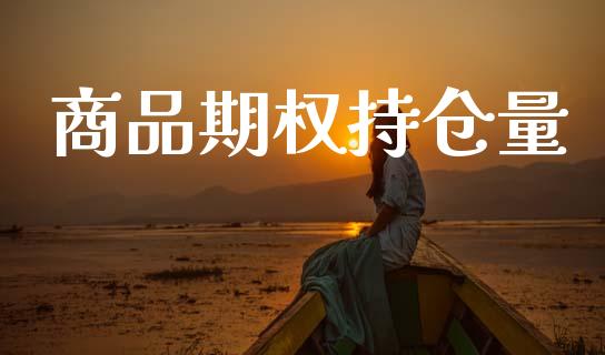 商品期权持仓量_https://www.fansifence.com_恒指交易时间_第1张