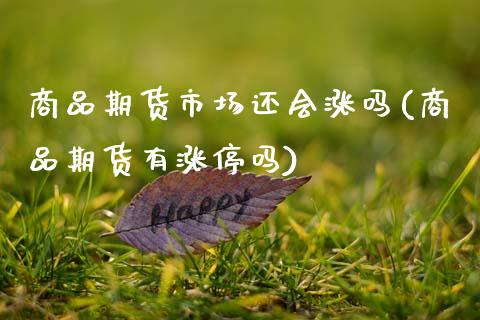 商品期货市场还会涨吗(商品期货有涨停吗)_https://www.fansifence.com_中国国际期货_第1张