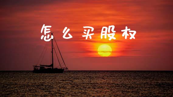 怎么买股权_https://www.fansifence.com_国际期货_第1张