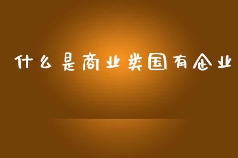 什么是商业类国有企业_https://www.fansifence.com_恒指交易时间_第1张