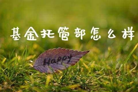基金托管部怎么样_https://www.fansifence.com_国际期货_第1张