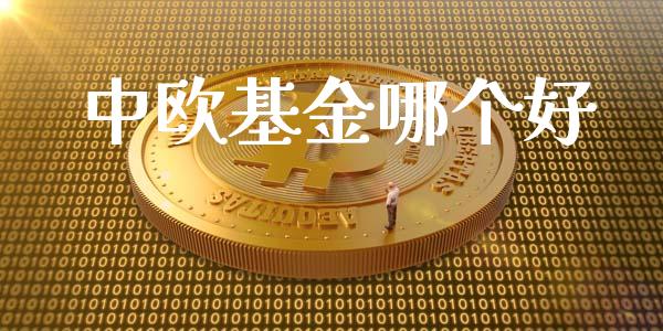 中欧基金哪个好_https://www.fansifence.com_国际期货_第1张