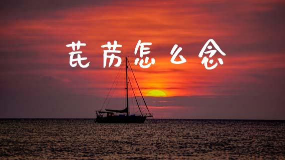 芪苈怎么念_https://www.fansifence.com_国际期货_第1张