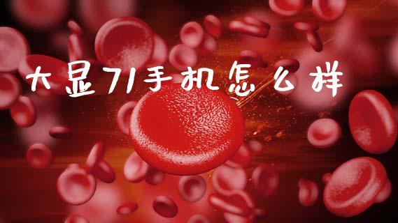 大显71手机怎么样_https://www.fansifence.com_恒指交易时间_第1张