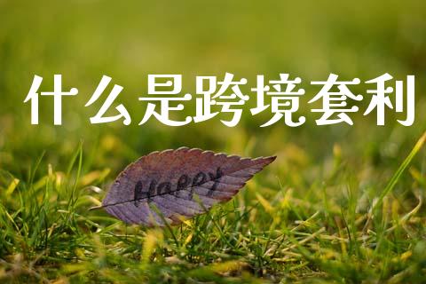 什么是跨境套利_https://www.fansifence.com_中国国际期货_第1张