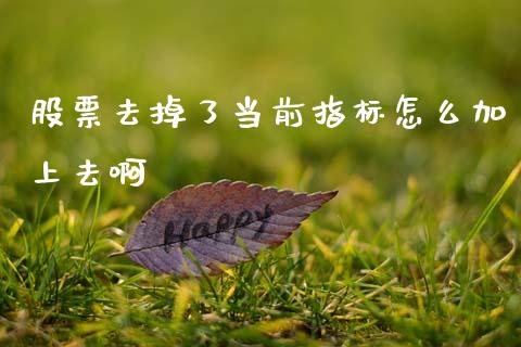 股票去掉了当前指标怎么加上去啊_https://www.fansifence.com_中国国际期货_第1张