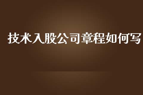 技术入股公司章程如何写_https://www.fansifence.com_国际期货_第1张