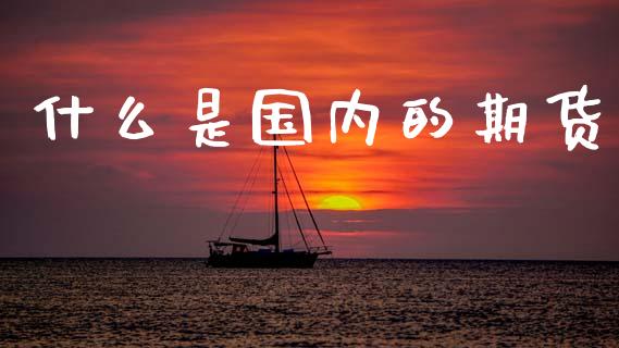 什么是国内的期货_https://www.fansifence.com_国际期货_第1张