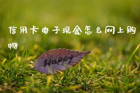 信用卡电子现金怎么网上购物_https://www.fansifence.com_中国国际期货_第1张