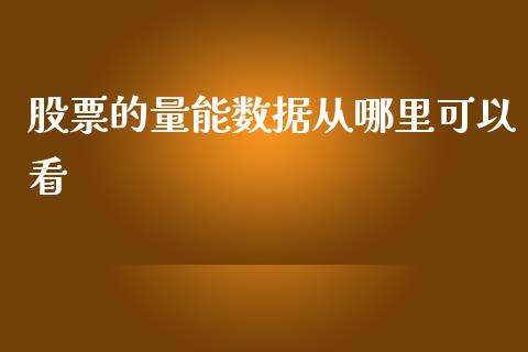 股票的量能数据从哪里可以看_https://www.fansifence.com_国际期货行情_第1张