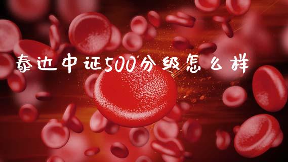 泰达中证500分级怎么样_https://www.fansifence.com_恒指交易时间_第1张